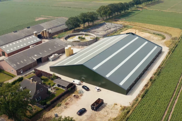 VDL tube feeding system in farrowing house with 500 sows