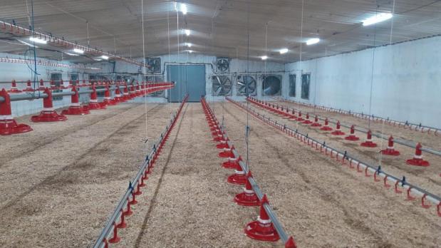 Renovated-broiler-project-in-Saudi-Arabia-3.jpg