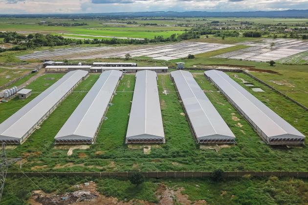 First fully automated EU broiler breeder farm in the Philippines